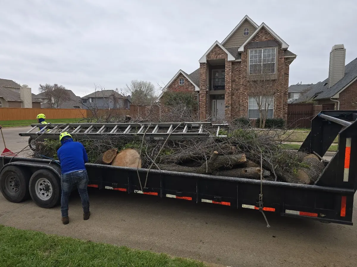 Expert Tree Removal with proper safety equipment in Vaughn